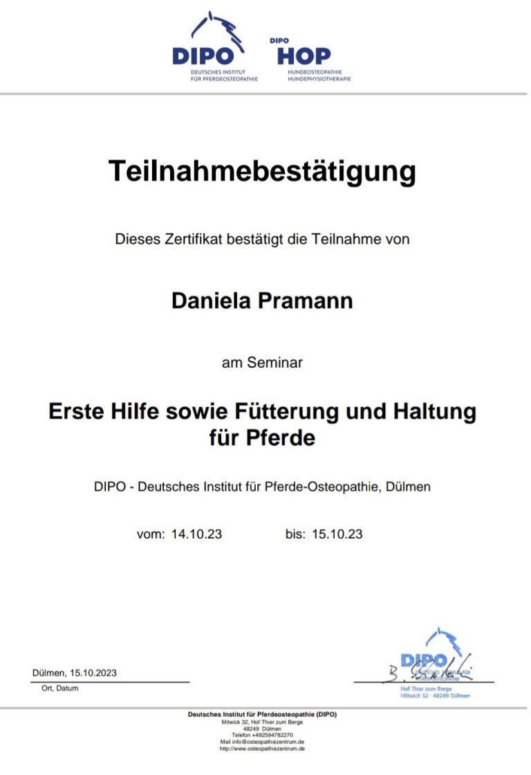 Teilnahmebescheinigung DIPO